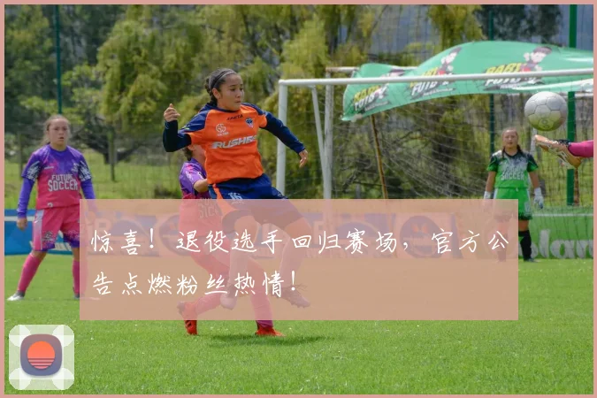 惊喜!退役选手回归赛场,官方公告点燃粉丝热情!