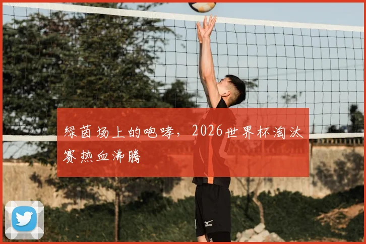 绿茵场上的咆哮，2026世界杯淘汰赛热血沸腾