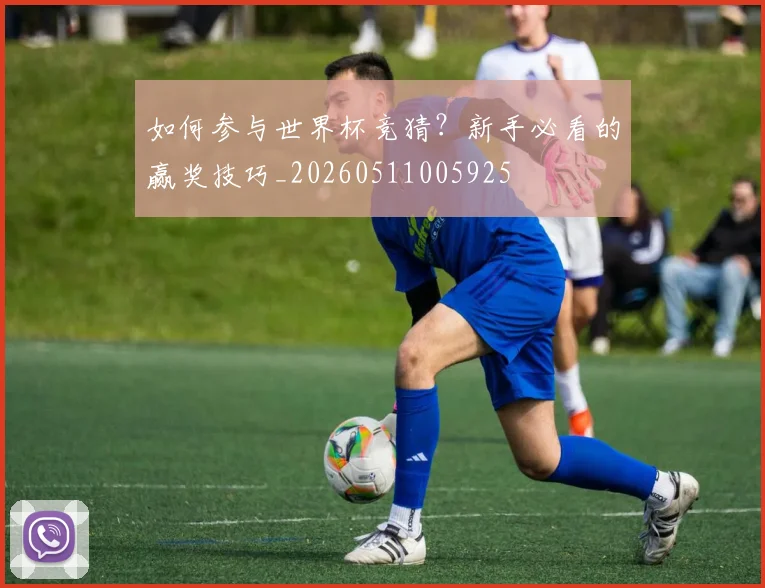 如何参与世界杯竞猜?新手必看的赢奖技巧_20260511005925