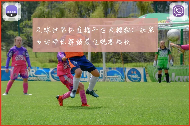 足球世界杯直播平台大揭秘：独家专访带你解锁最佳观赛路径